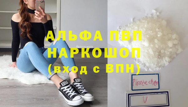 ПСИЛОЦИБИНОВЫЕ ГРИБЫ Ельня
