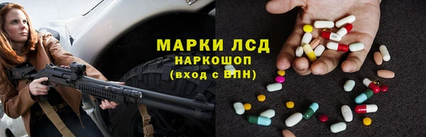 ПСИЛОЦИБИНОВЫЕ ГРИБЫ Ельня