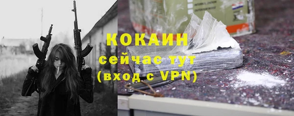 ПСИЛОЦИБИНОВЫЕ ГРИБЫ Ельня
