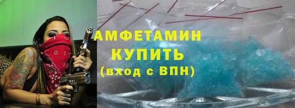 ПСИЛОЦИБИНОВЫЕ ГРИБЫ Ельня