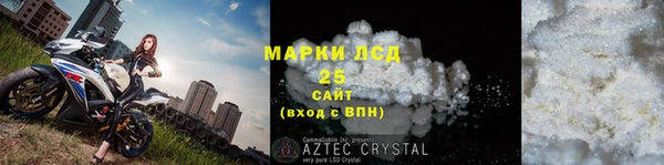ПСИЛОЦИБИНОВЫЕ ГРИБЫ Ельня