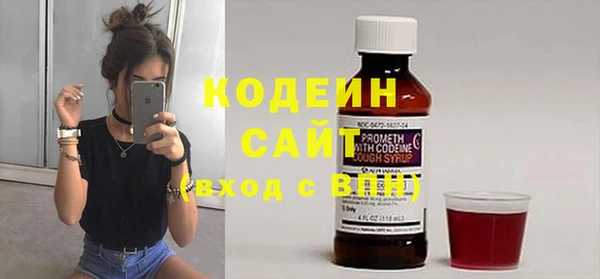 амф Елизово