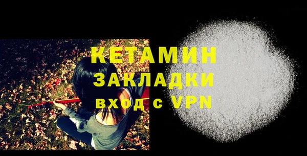 ПСИЛОЦИБИНОВЫЕ ГРИБЫ Ельня