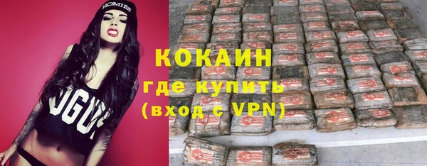 ПСИЛОЦИБИНОВЫЕ ГРИБЫ Ельня