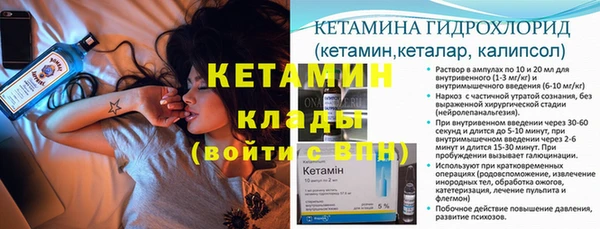 ПСИЛОЦИБИНОВЫЕ ГРИБЫ Ельня