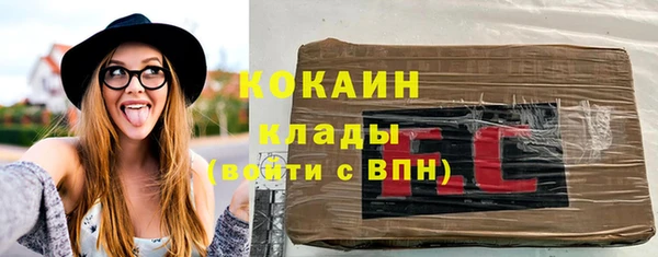 амф Елизово