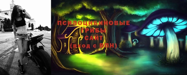 тгк Елабуга
